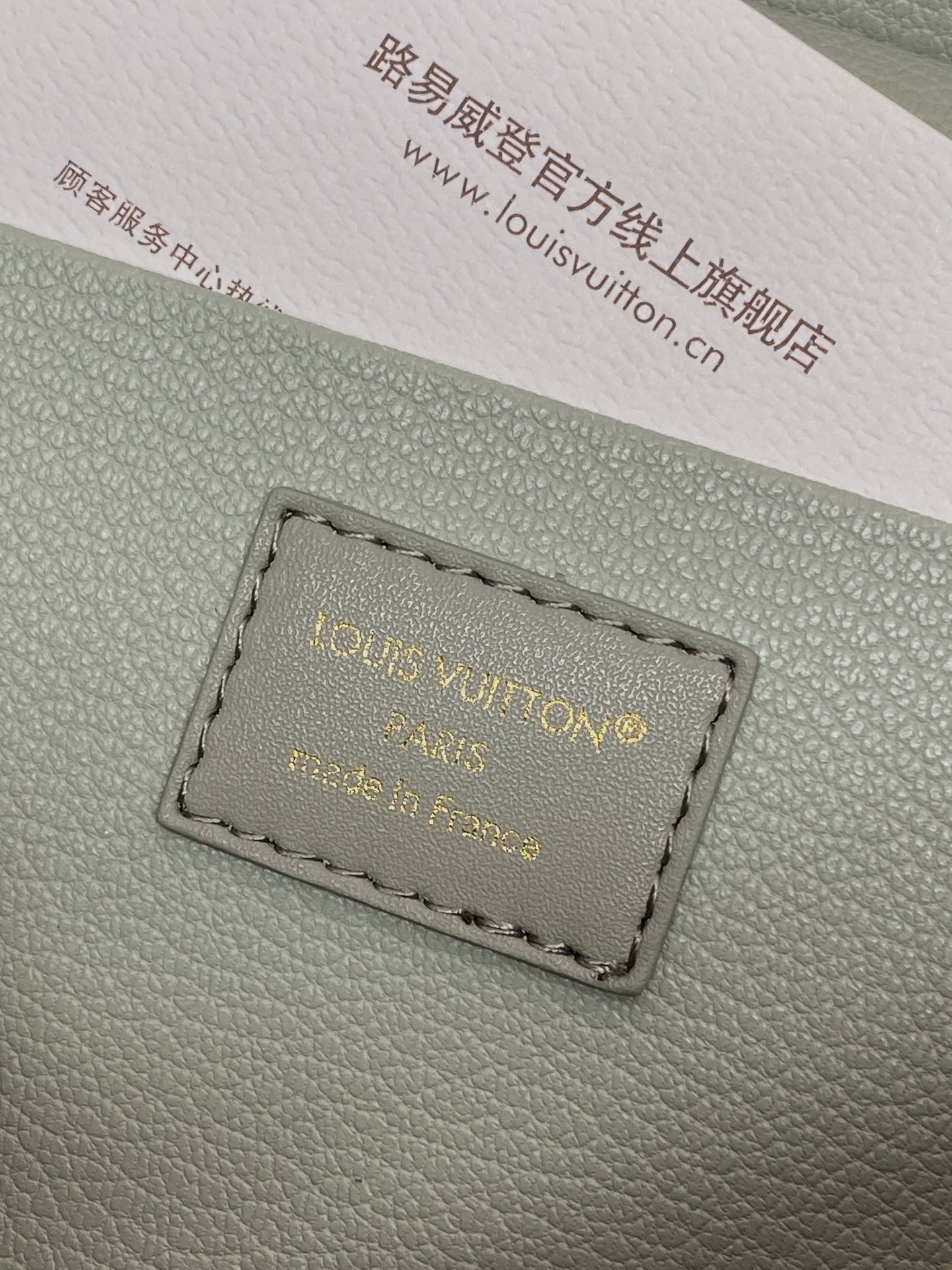 LOUIS VUITTON M25857 Light Green NICE NANO Cosmetic Pouch