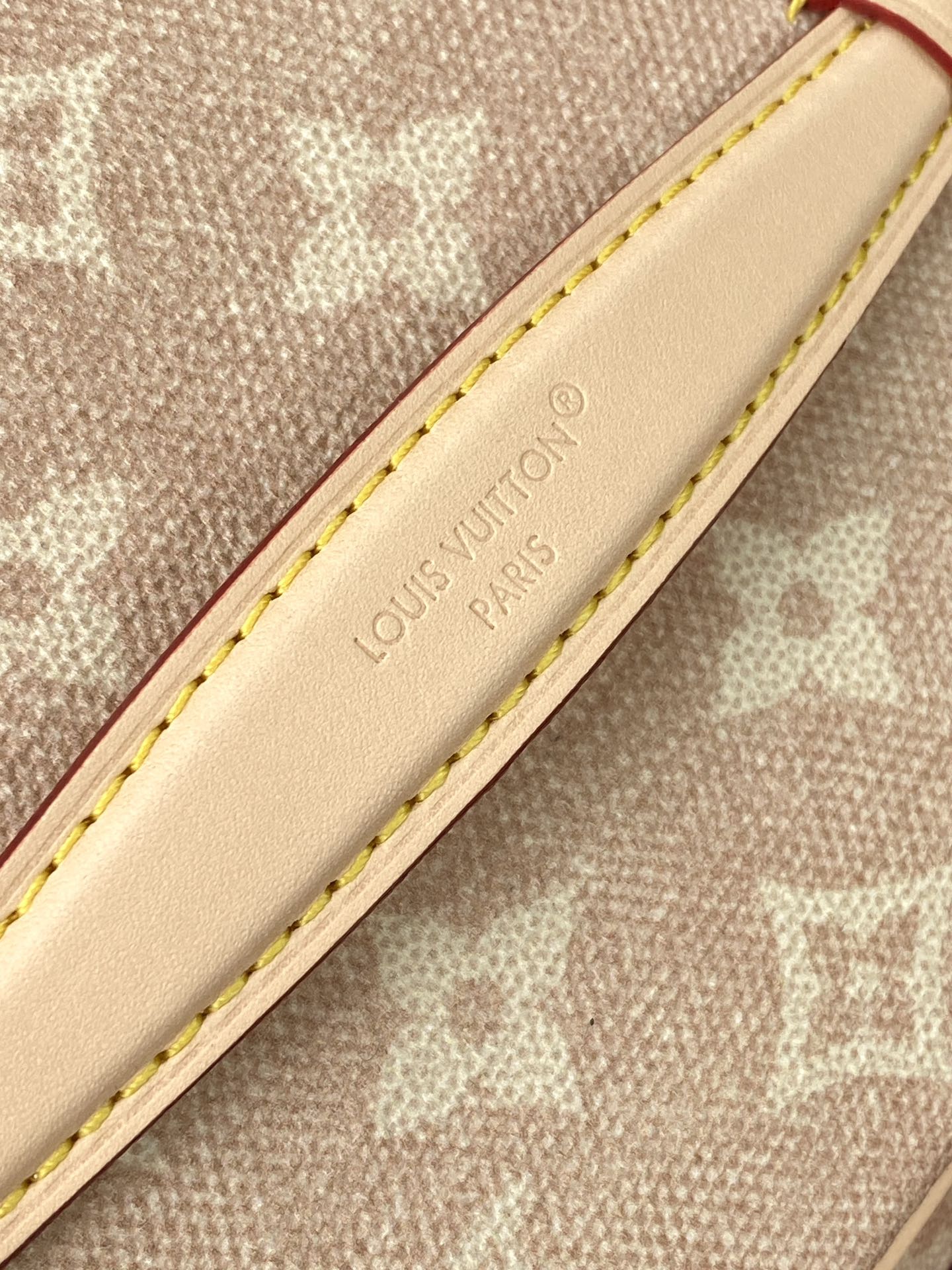 LOUIS VUITTON M15170 Nice Mini