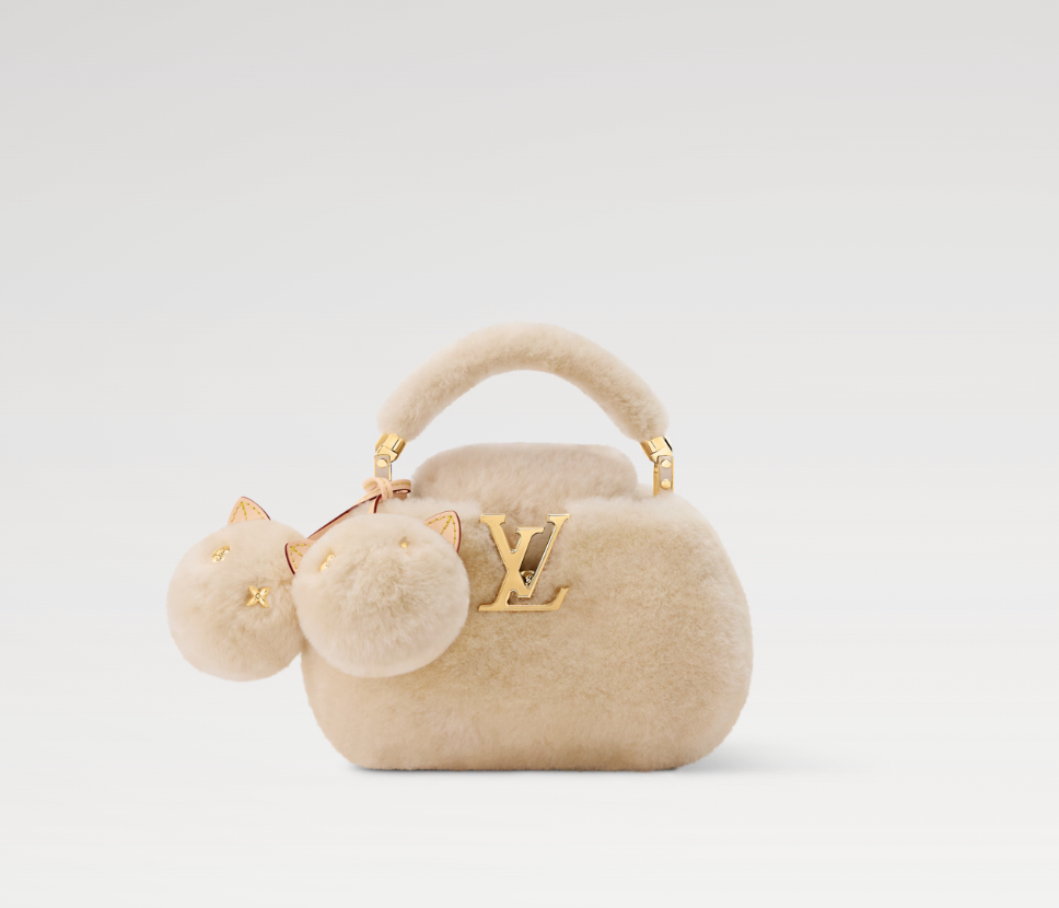 LOUIS VUITTON M26324 LV Ski Capusnow