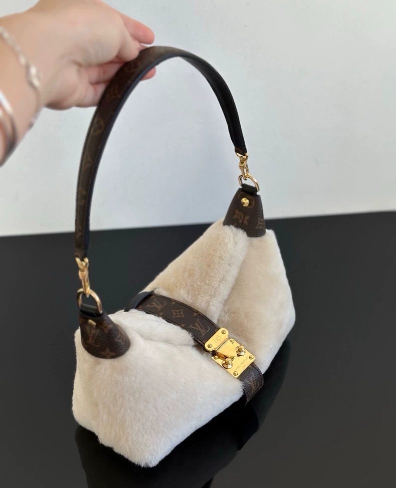 LOUIS VUITTON M26245 LV Ski Pochette Mia