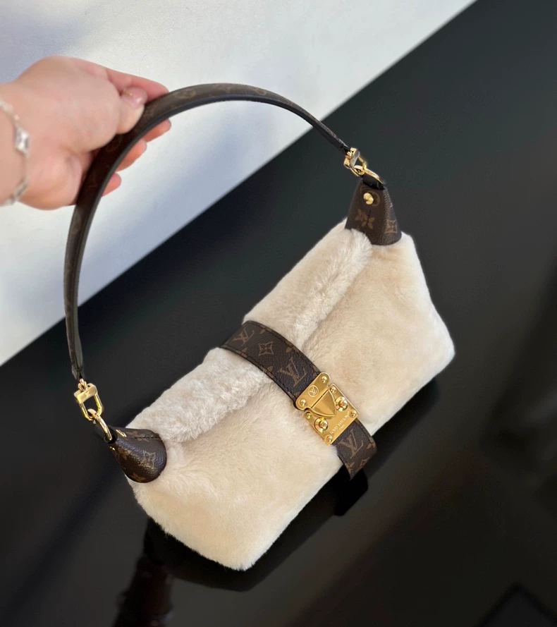 LOUIS VUITTON M26245 LV Ski Pochette Mia