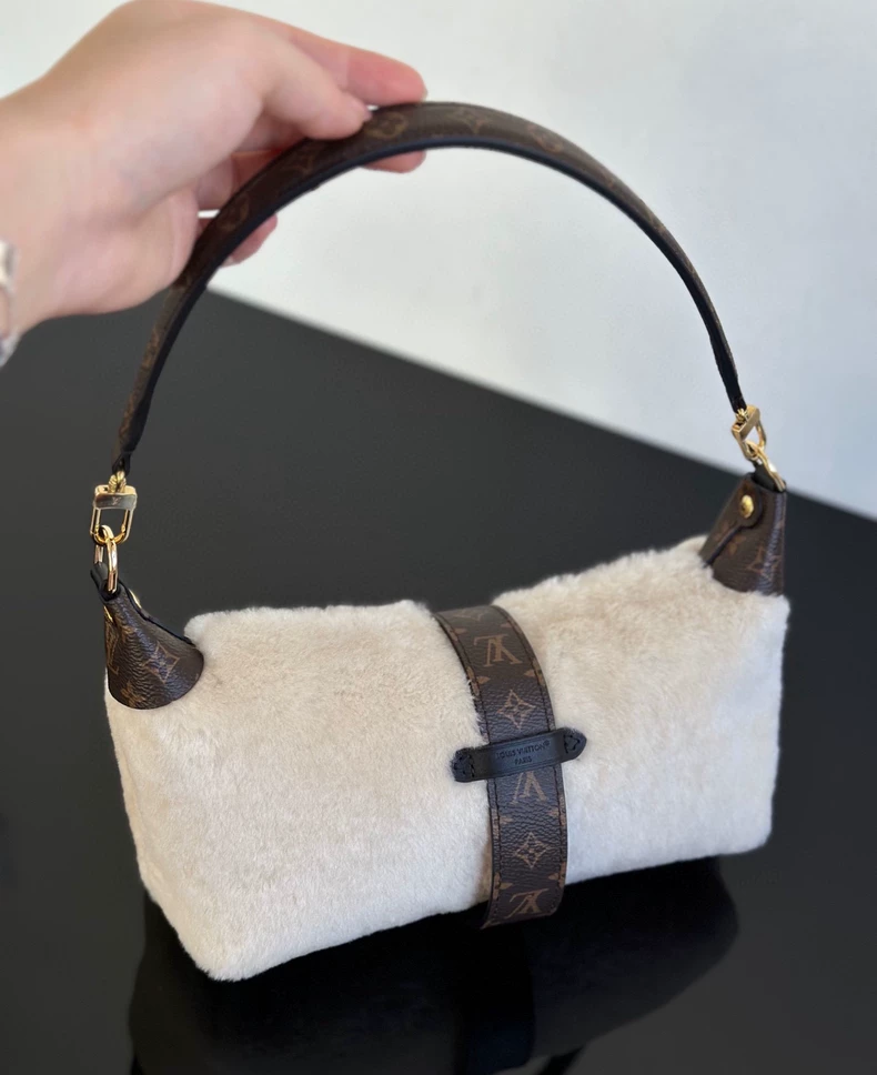 LOUIS VUITTON M26245 LV Ski Pochette Mia