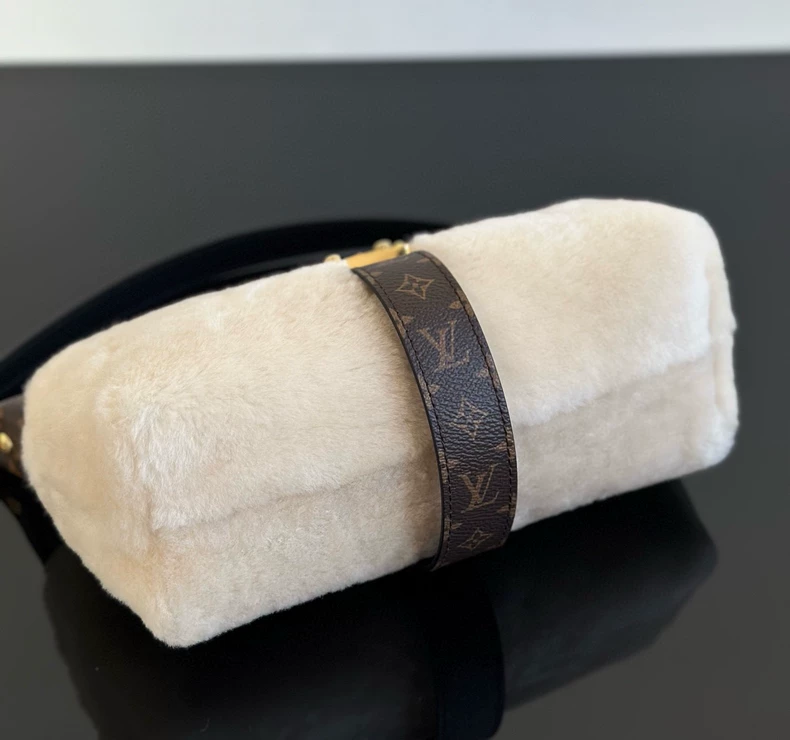 LOUIS VUITTON M26245 LV Ski Pochette Mia