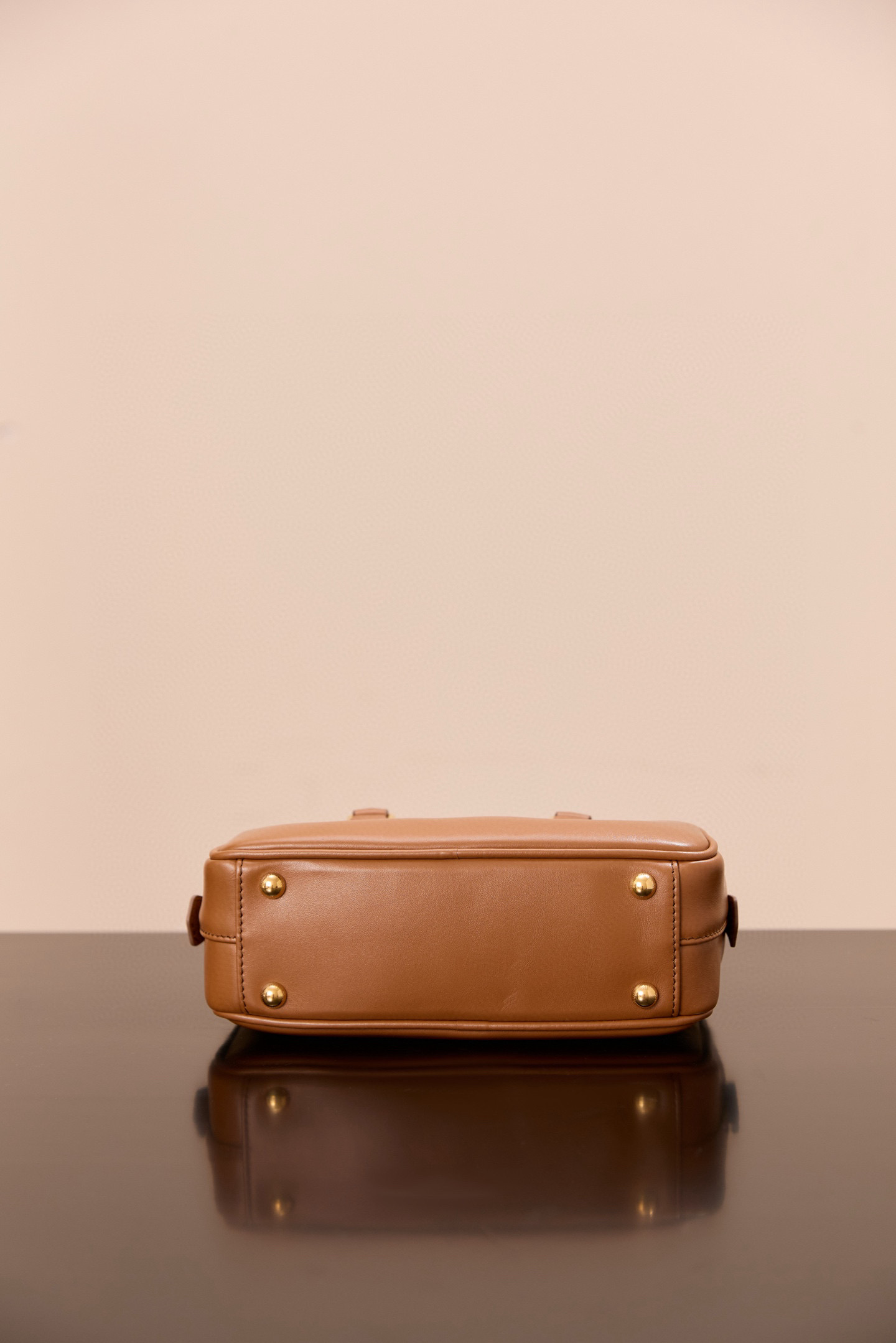 MiuMiu Arcadie leather bag