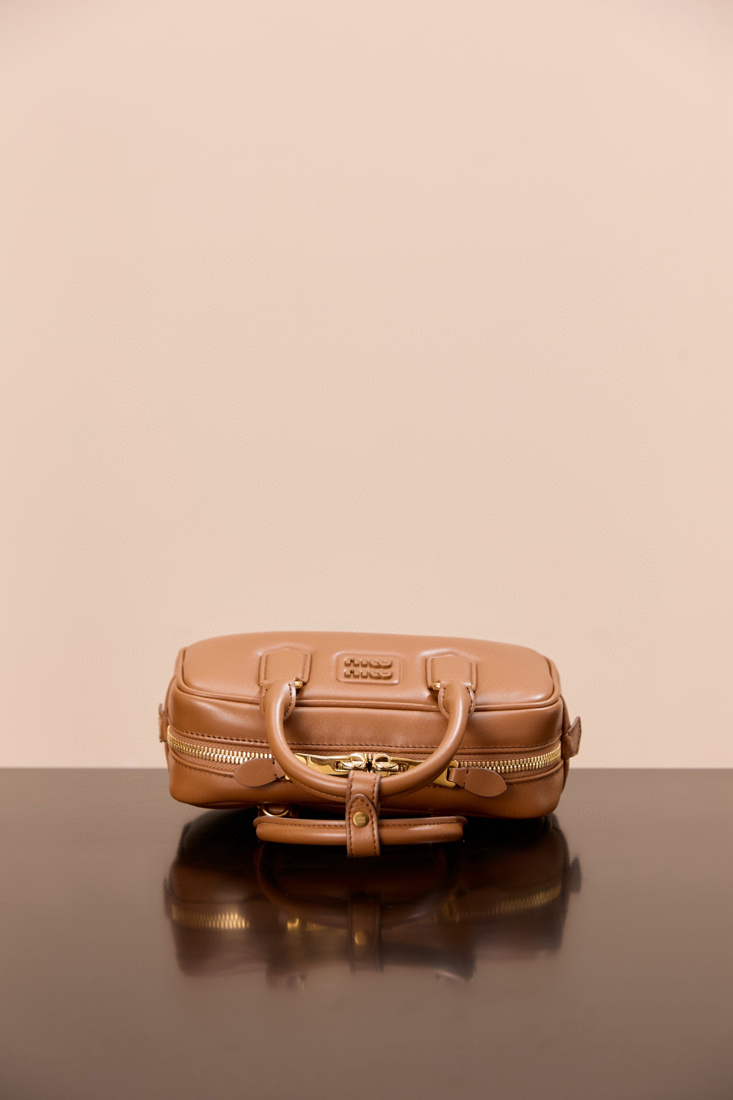 MiuMiu Arcadie leather bag