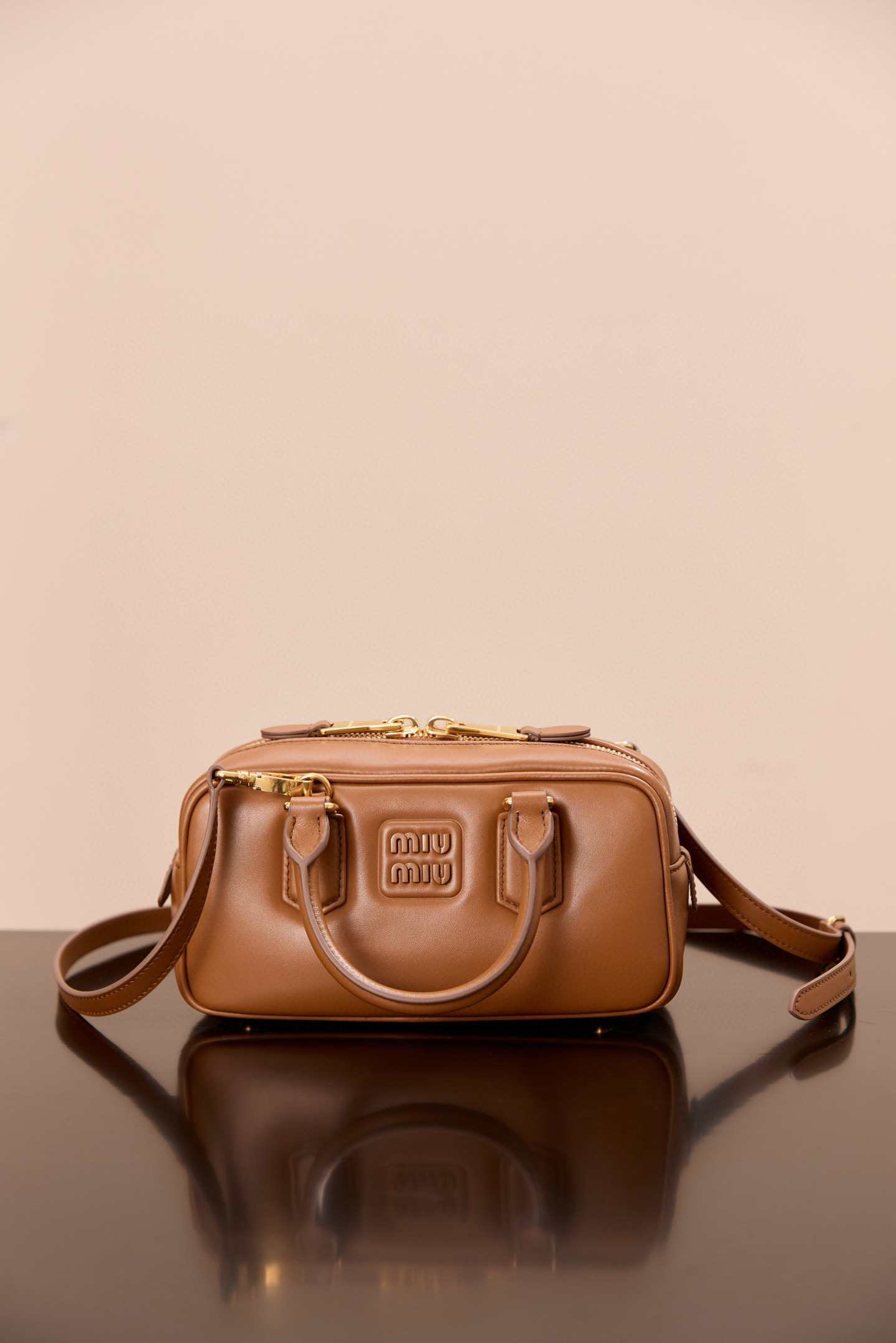 MiuMiu Arcadie leather bag
