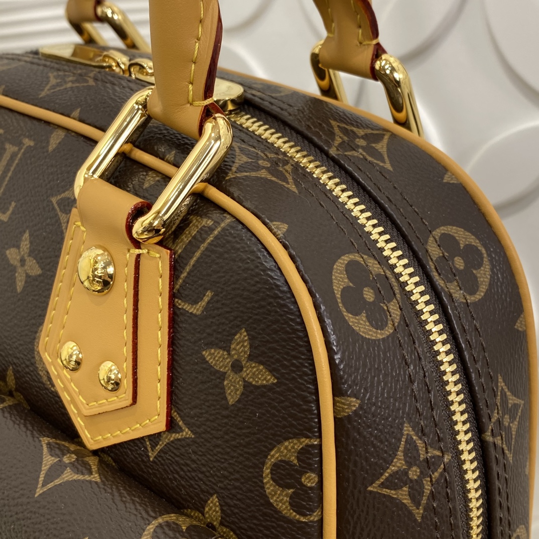 Louis Vuitton Monogram Canvas Manhattan PM