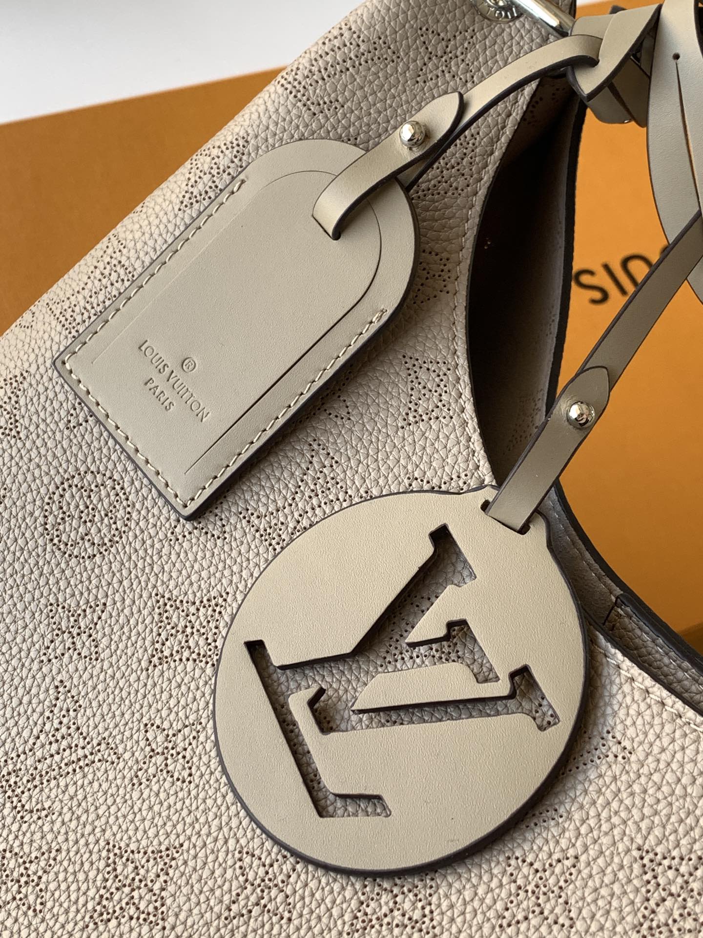 LOUIS VUITTON M21775 Sac Carmel