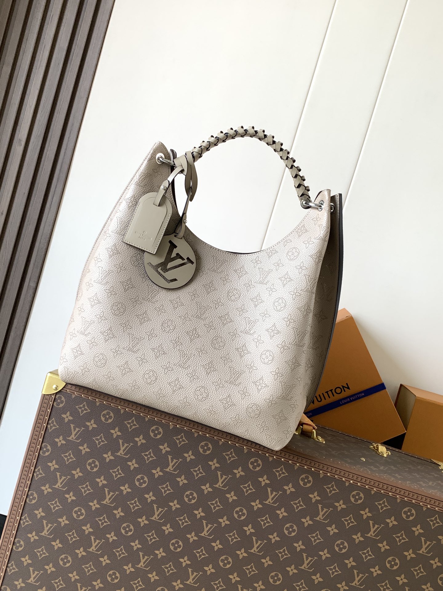 LOUIS VUITTON M21775 Sac Carmel