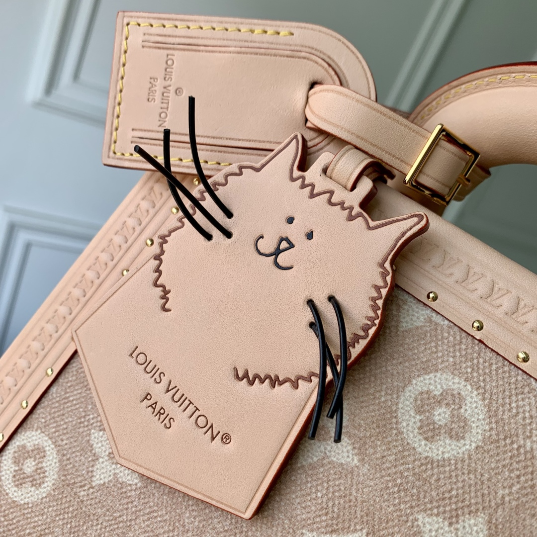 LOUIS VUITTON M14592 Petite Valise