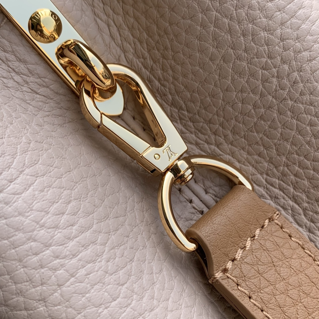 LOUIS VUITTON Capucines Grey and Brown Mini Bag