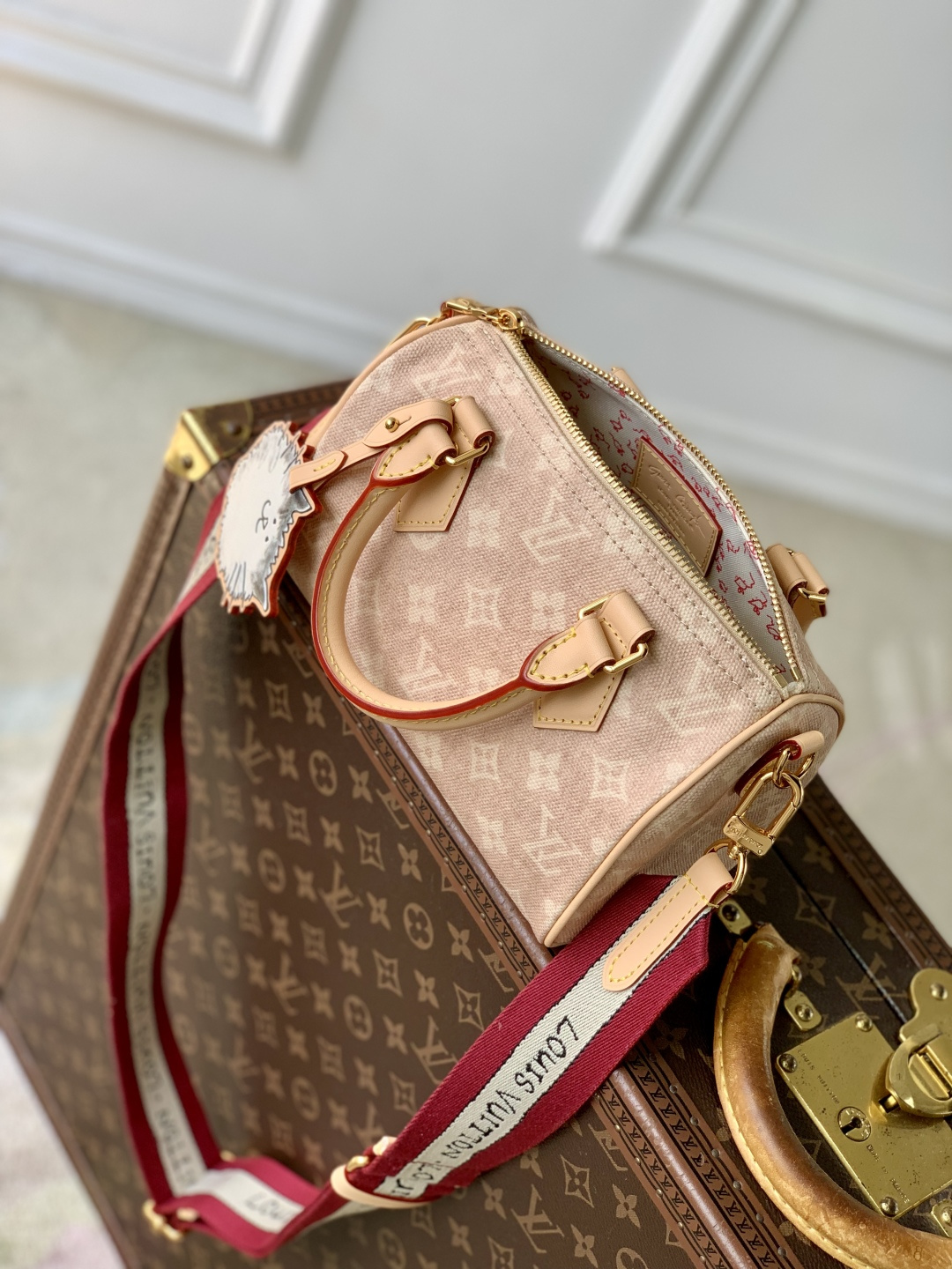 LOUIS VUITTON M15151 Speedy Bandouliere 20