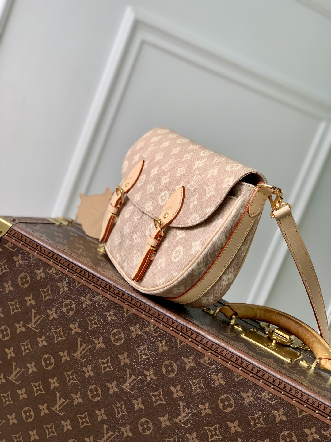 LOUIS VUITTON M15134 Travels With Grace Coddington Escape