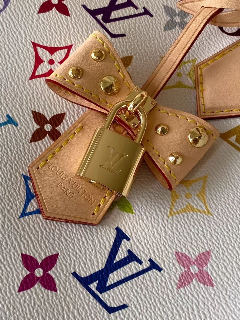 LOUIS VUITTON M27789 LV x TM SPEEDY SOFT 30 Bag