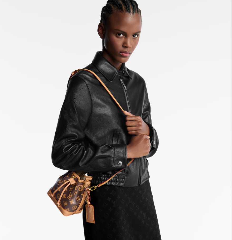 LOUIS VUITTON M27699 New Nano Noé