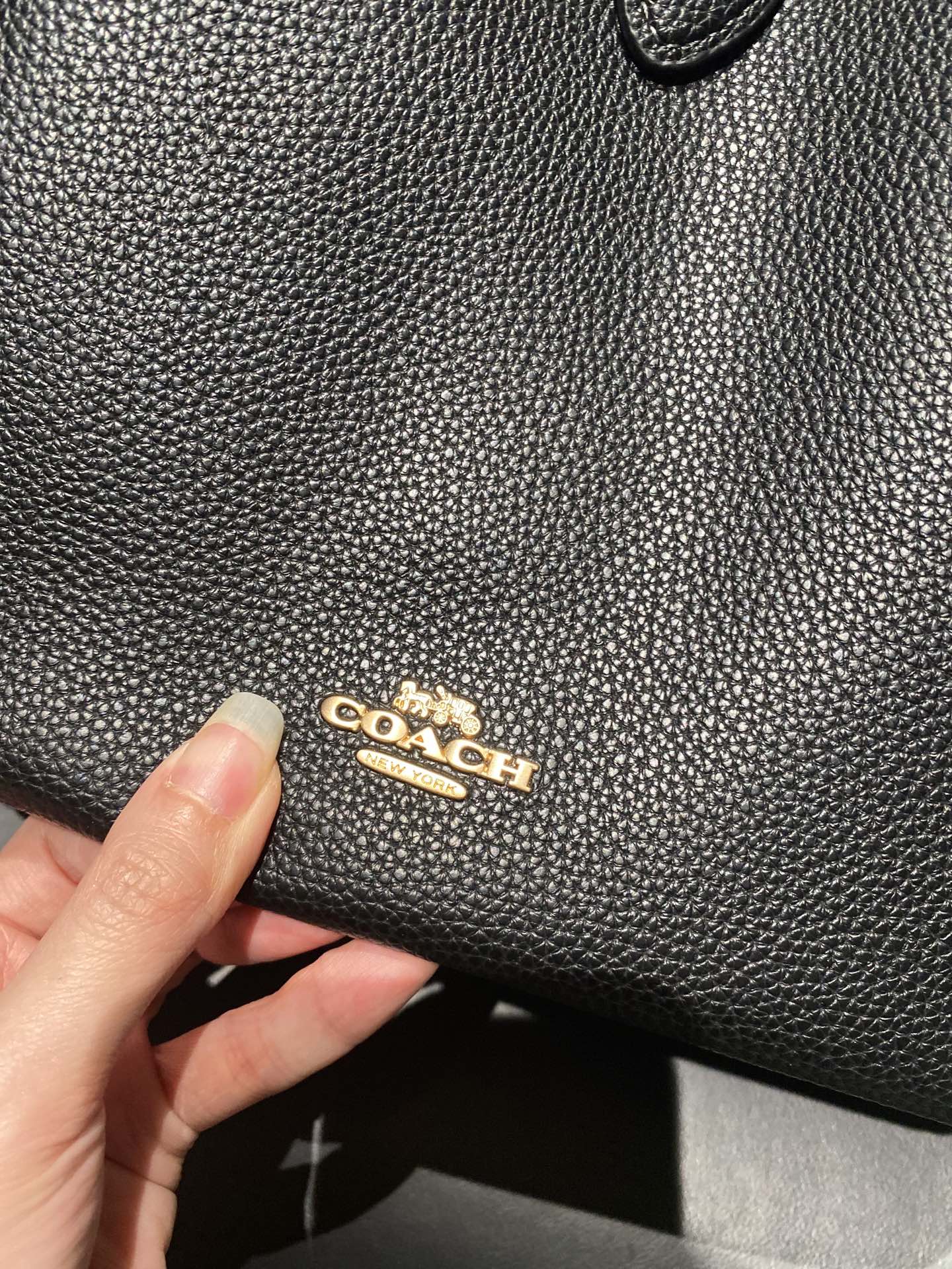 COACH Hadley Tote Bag in Full-Grain Pebbled Leather (Black)