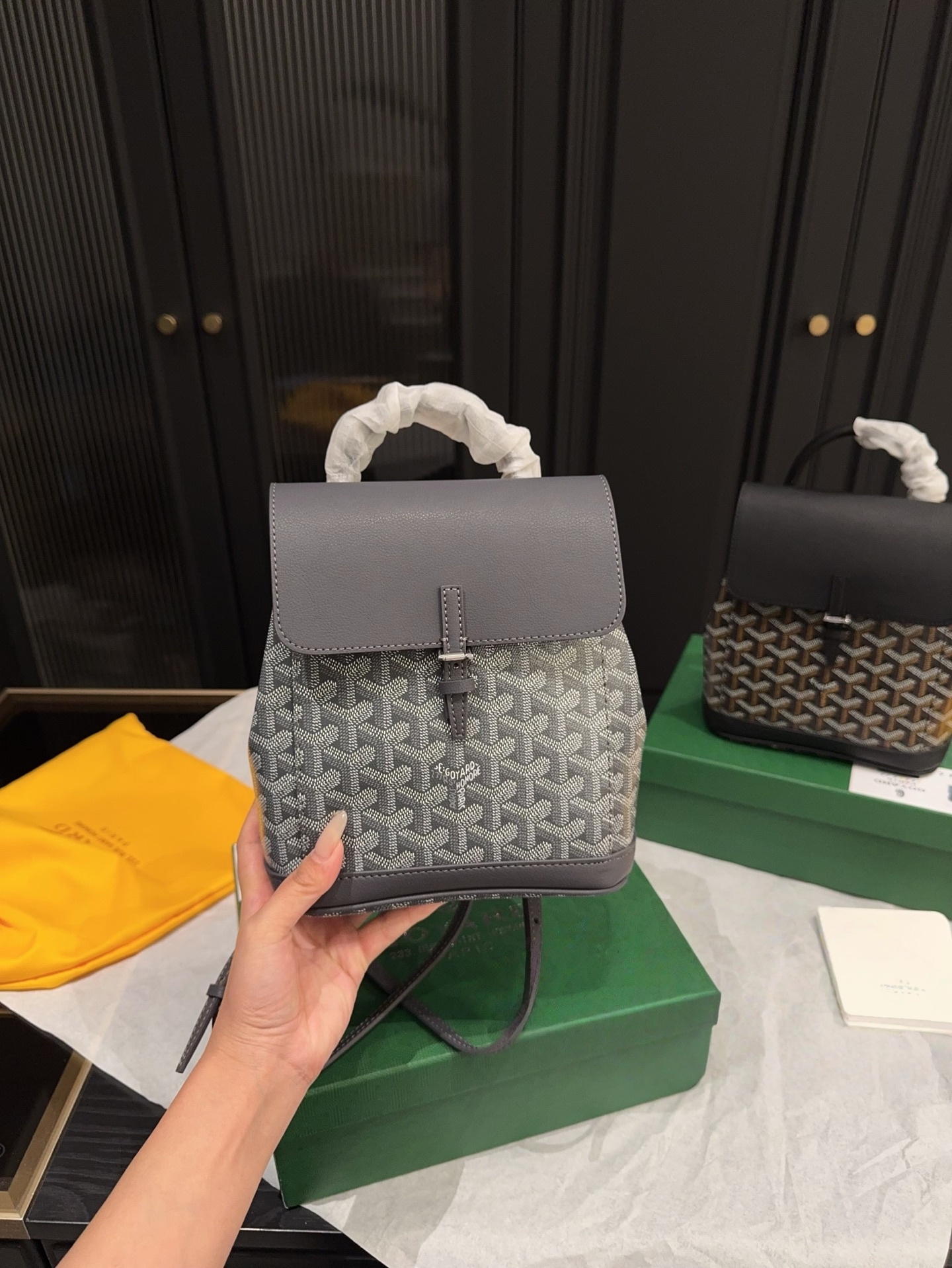 Goyard Alpin Mini Backpack (Includes Dust Bag & Box)