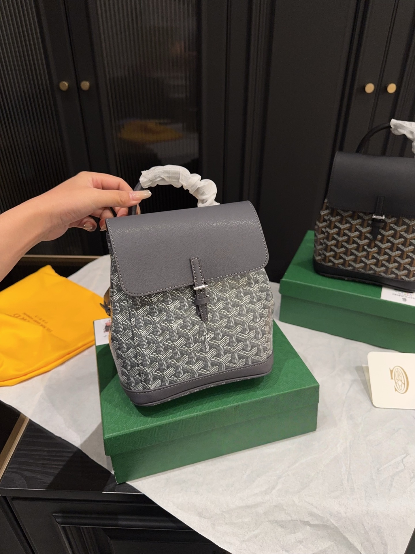 Goyard Alpin Mini Backpack (Includes Dust Bag & Box)