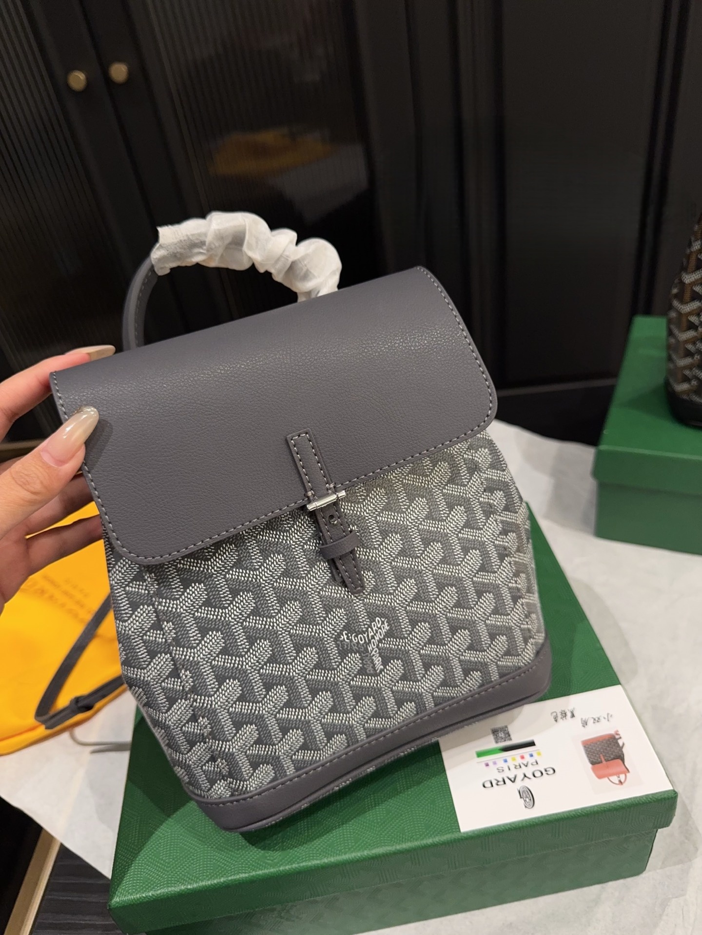 Goyard Alpin Mini Backpack (Includes Dust Bag & Box)