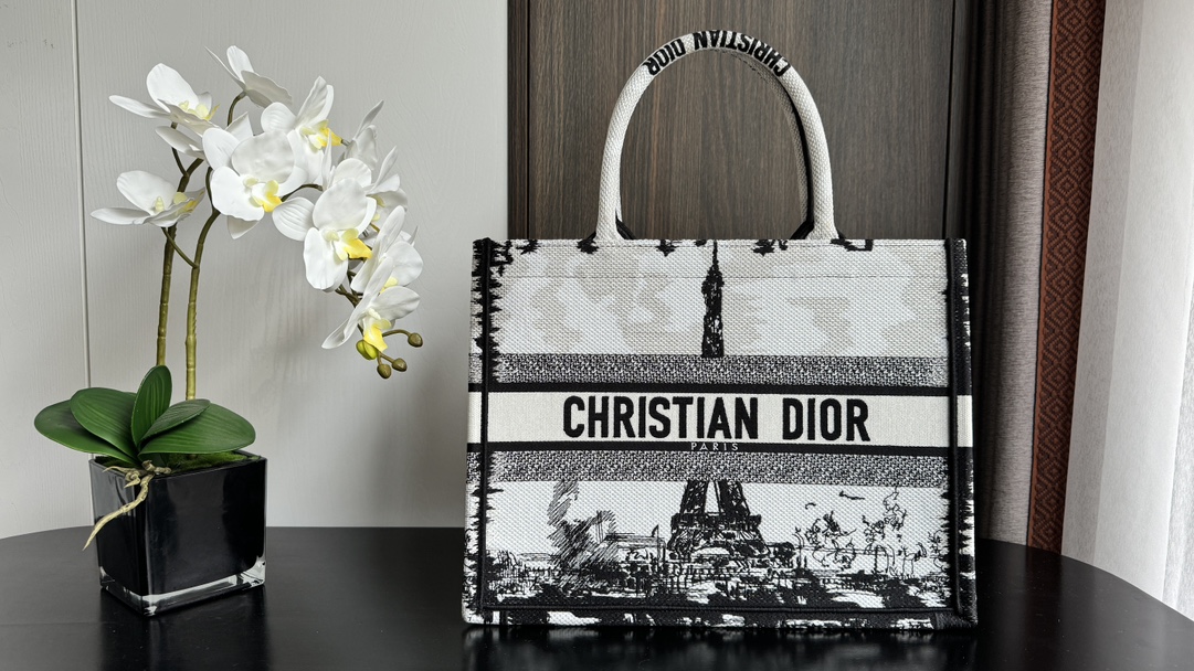 DlOR Medium Dior Book Tote Paris Embroidery
