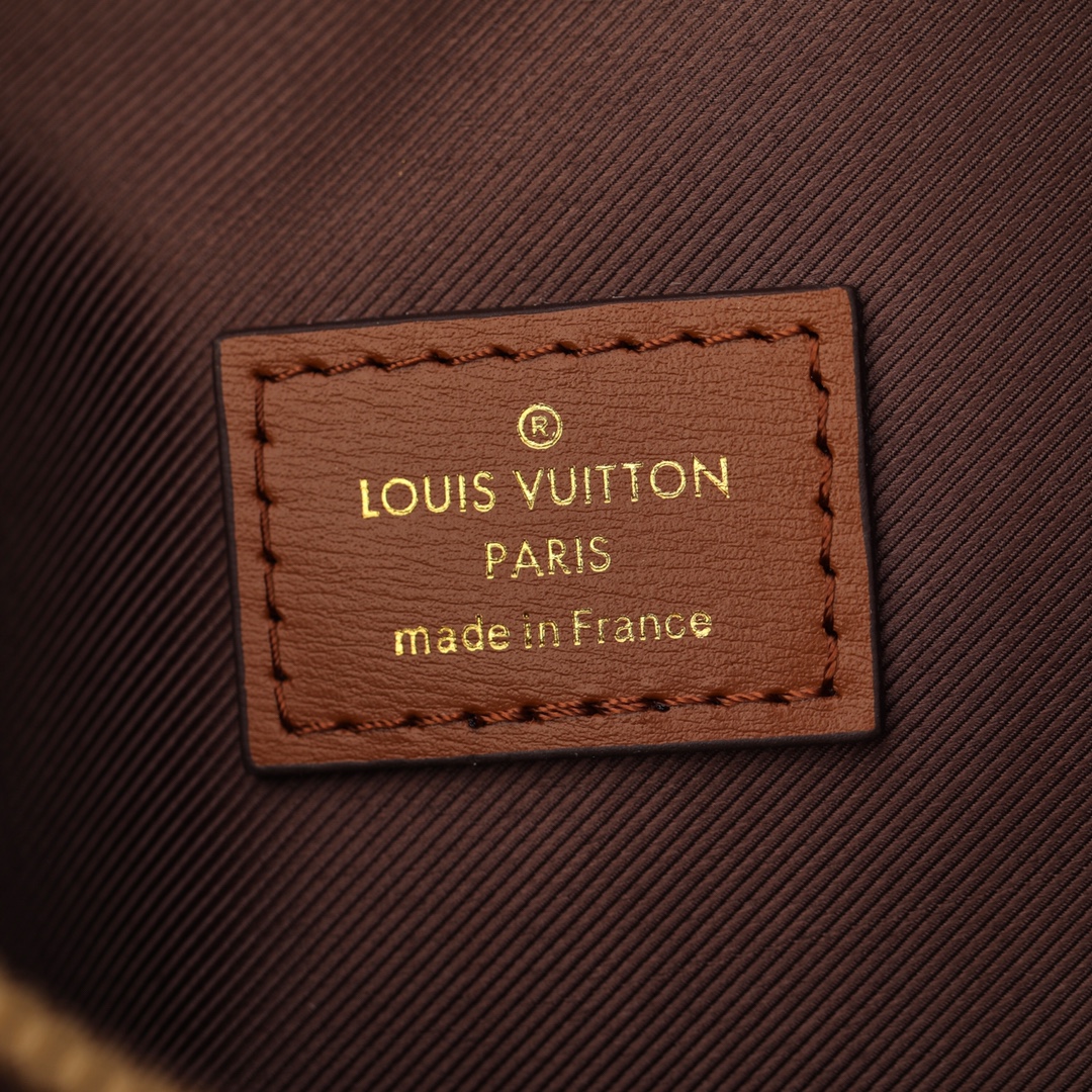 LOUIS VUITTON M46311 Loop Hobo