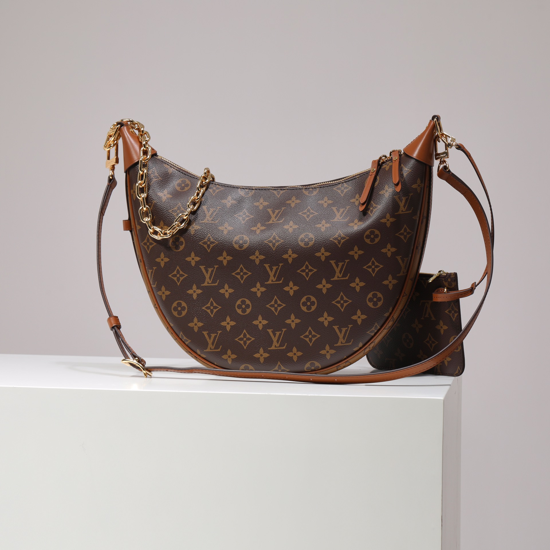 LOUIS VUITTON M46311 Loop Hobo
