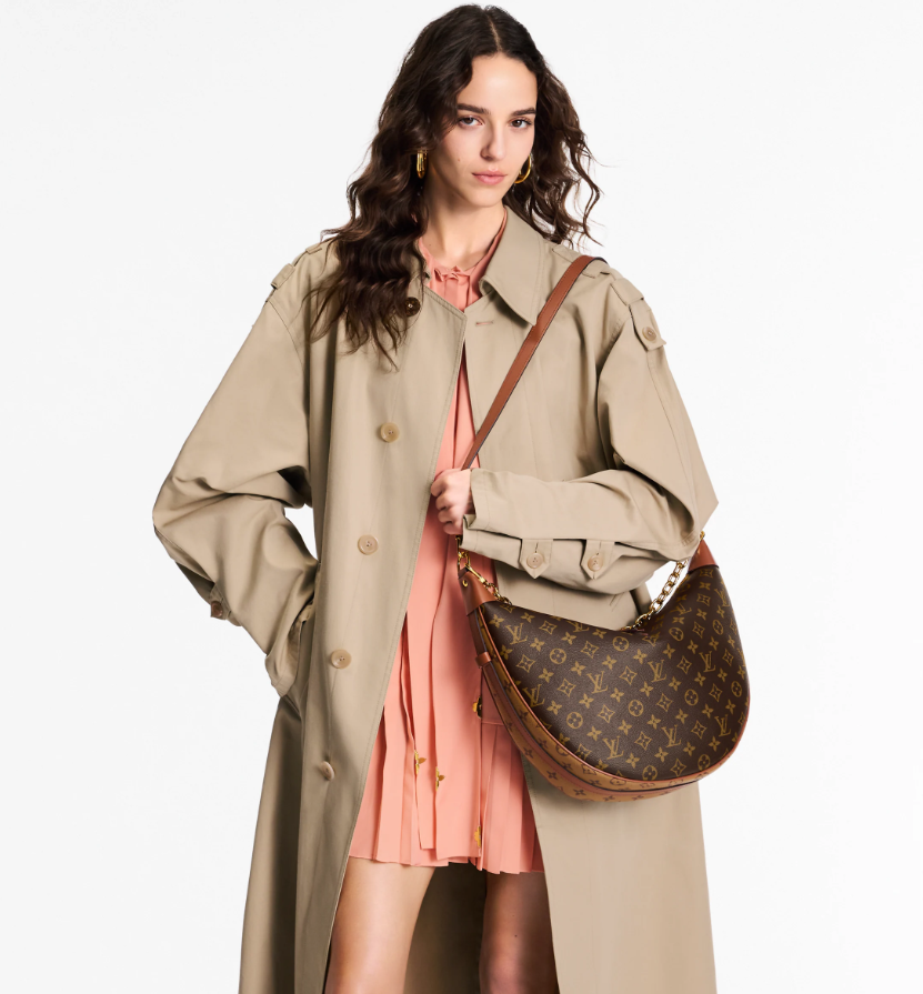 LOUIS VUITTON M46311 Loop Hobo