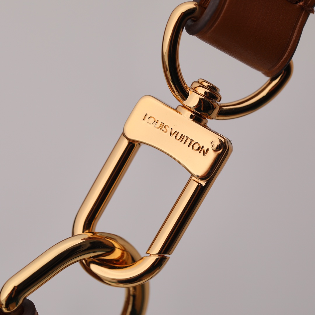 LOUIS VUITTON M46311 Loop Hobo