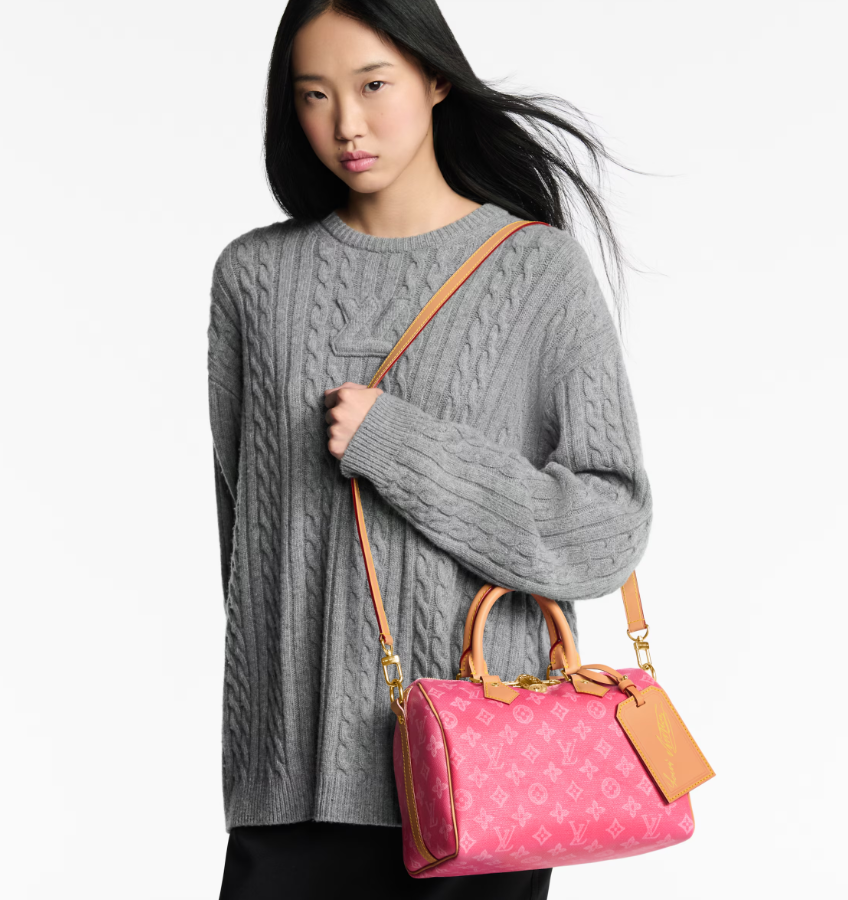 LOUIS VUITTON M27528 Speedy Bandouliere 25