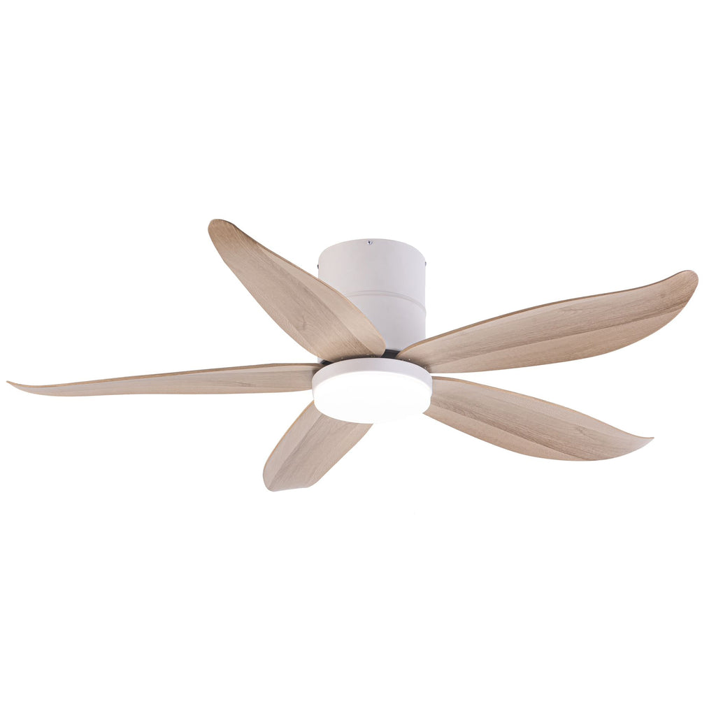 CO-FAN RITO-5 48"/54" DC CEILING FAN + OPTIONAL LIGHT & WI-FI