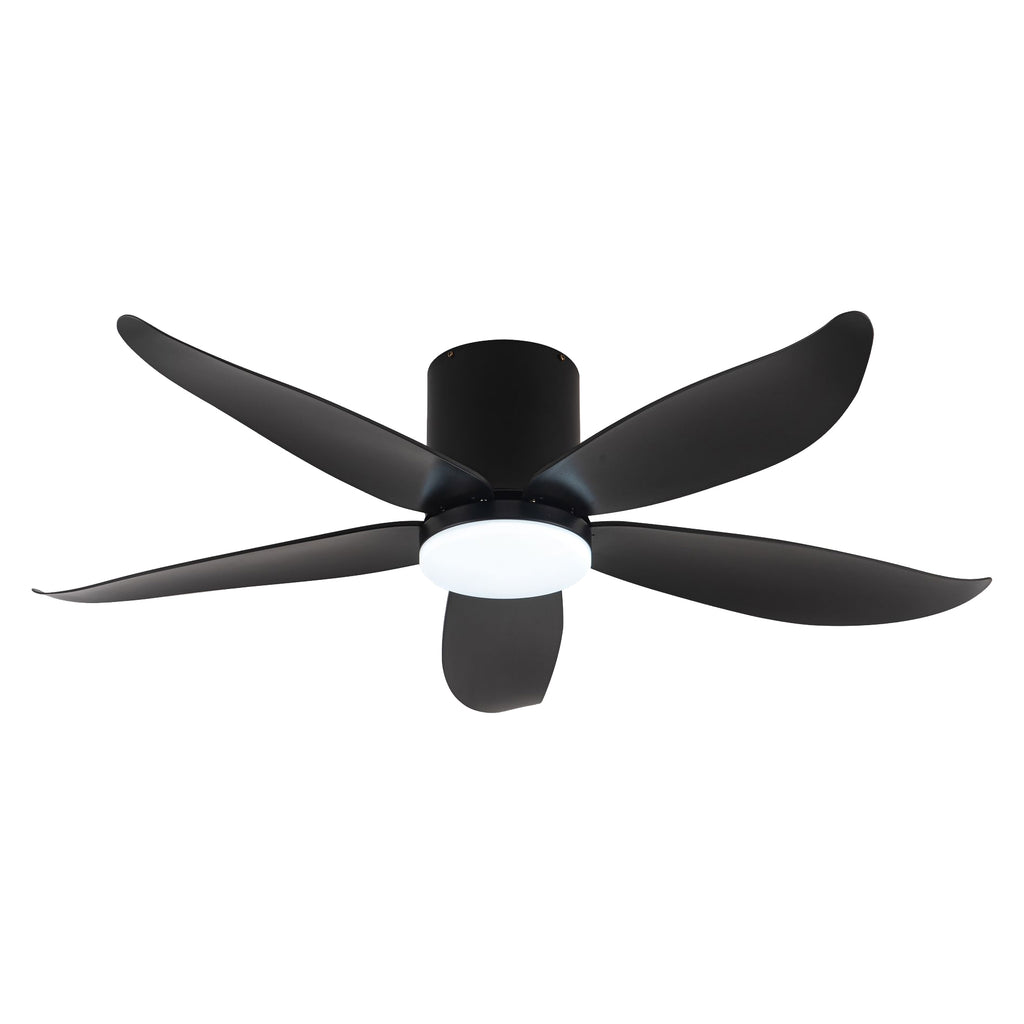 CO-FAN RITO-5 48"/54" DC CEILING FAN + OPTIONAL LIGHT & WI-FI