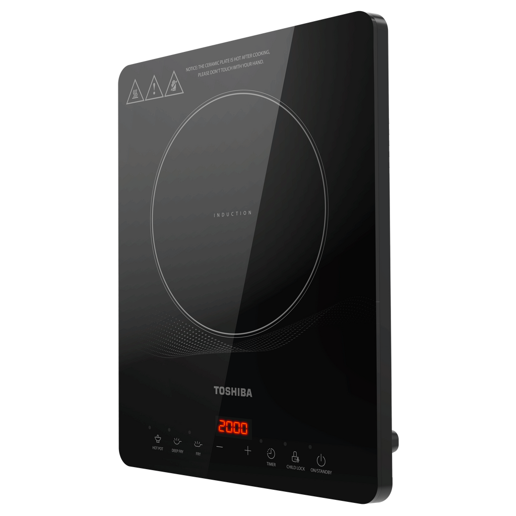 IC-20R1TSG INDUCTION COOKER