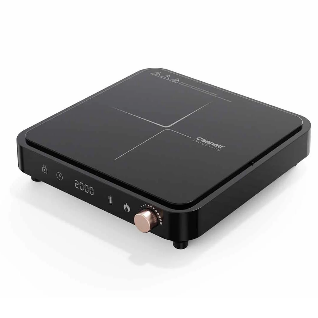 CICS501BK INDUCTION COOKER WITH POT