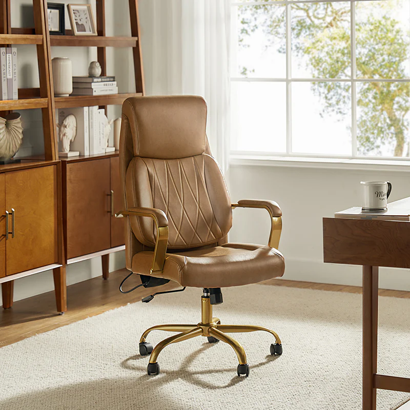 Ludwig Ergonomic Office Chair with Lumbar Support