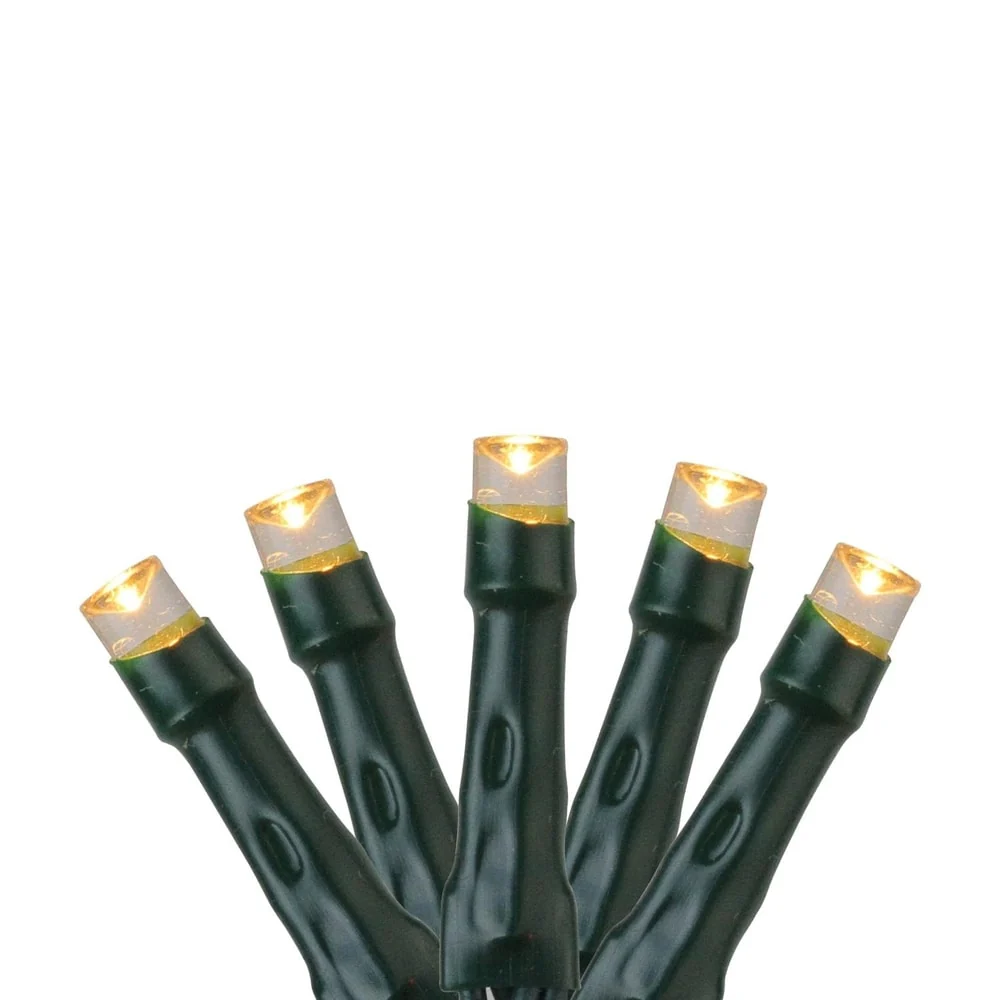 10 Battery Operated Warm White Clear LED Wide Angle Christmas Lights Green Wire