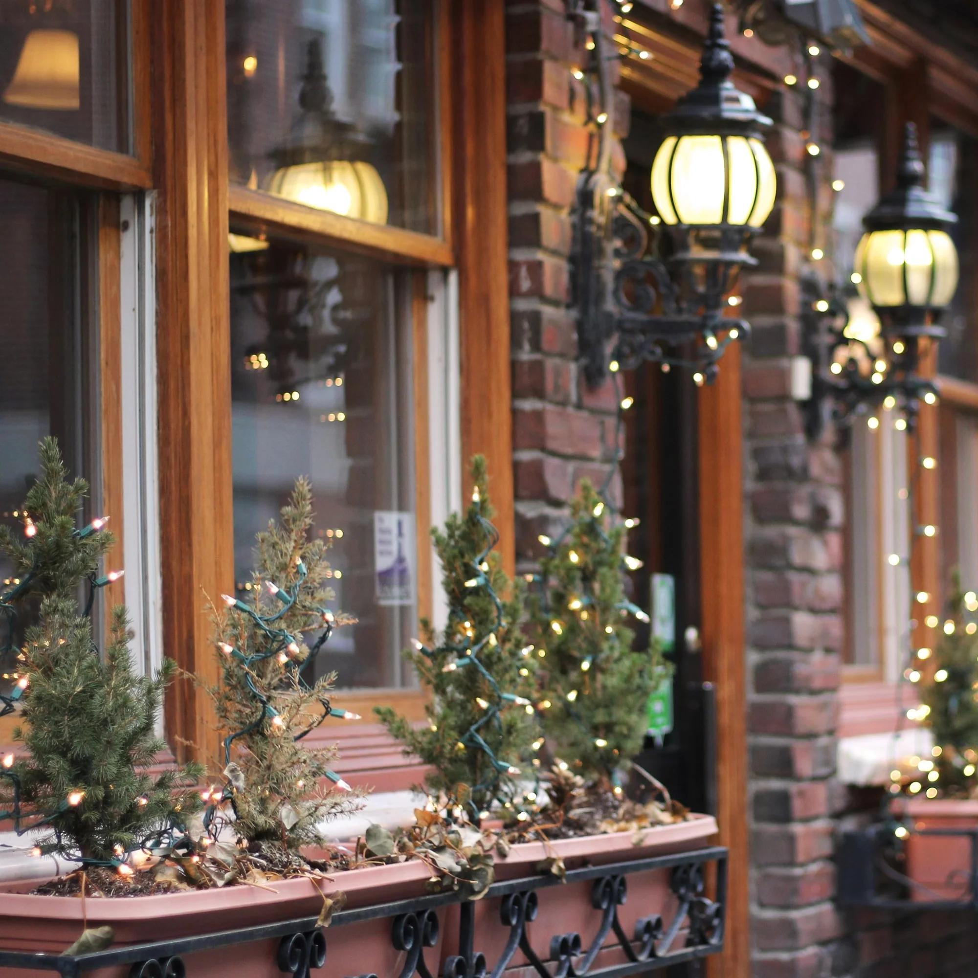 100-Count Clear Mini Christmas Light Set - Green Wire