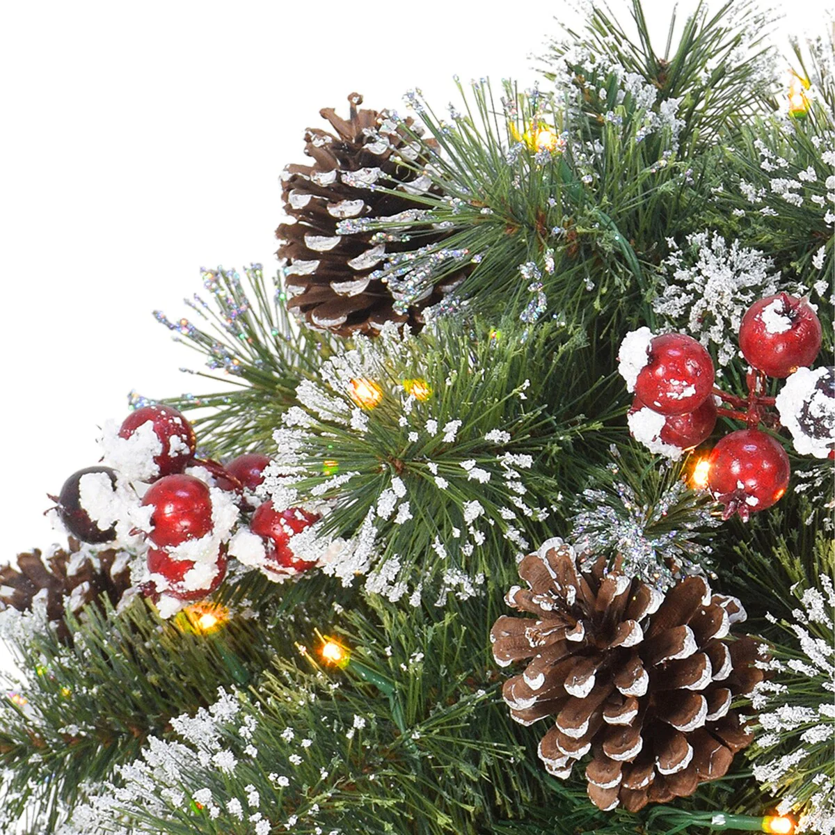 Puleo International 18