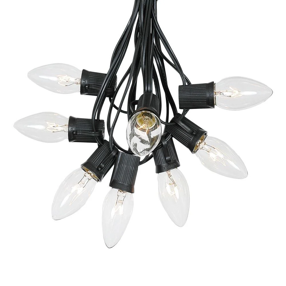 25 Foot C9 Christmas Light Set, Hanging Patio String Lights, Black Wire