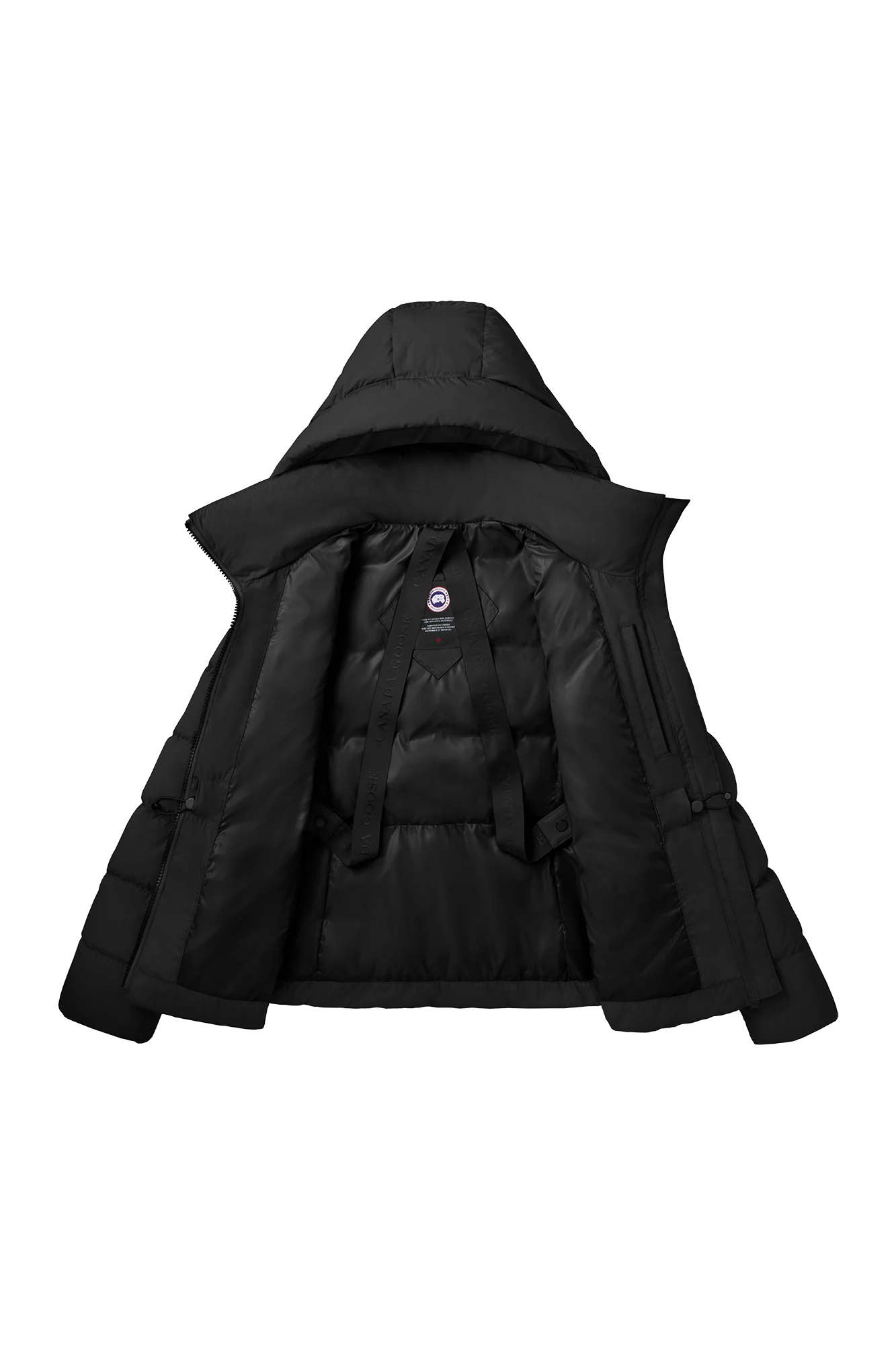 Aurora Jacket