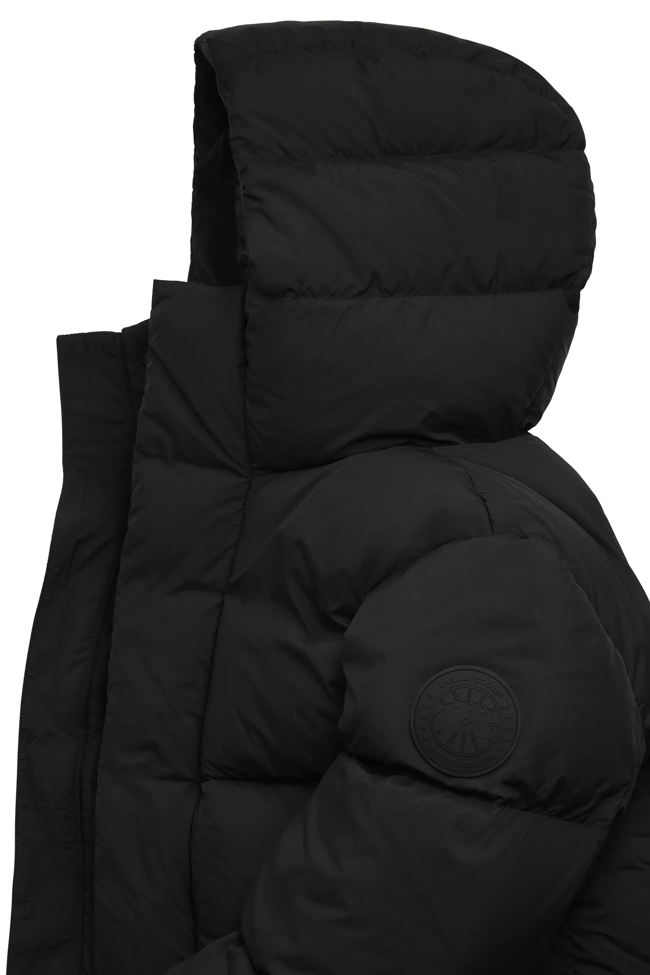 Everett Hooded Puffer