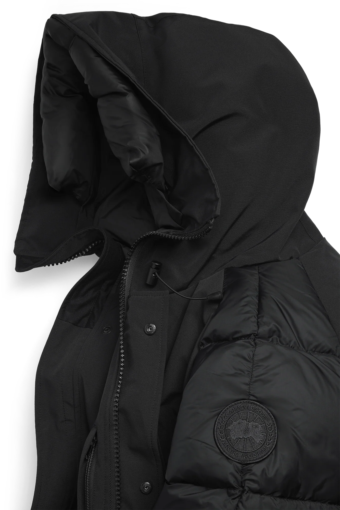 Paradigm Chilliwack Bomber Black Label