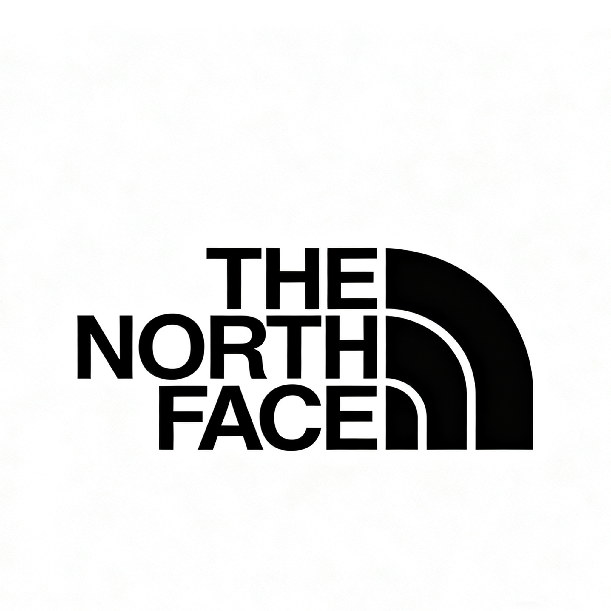 The North Face Womens Jacket