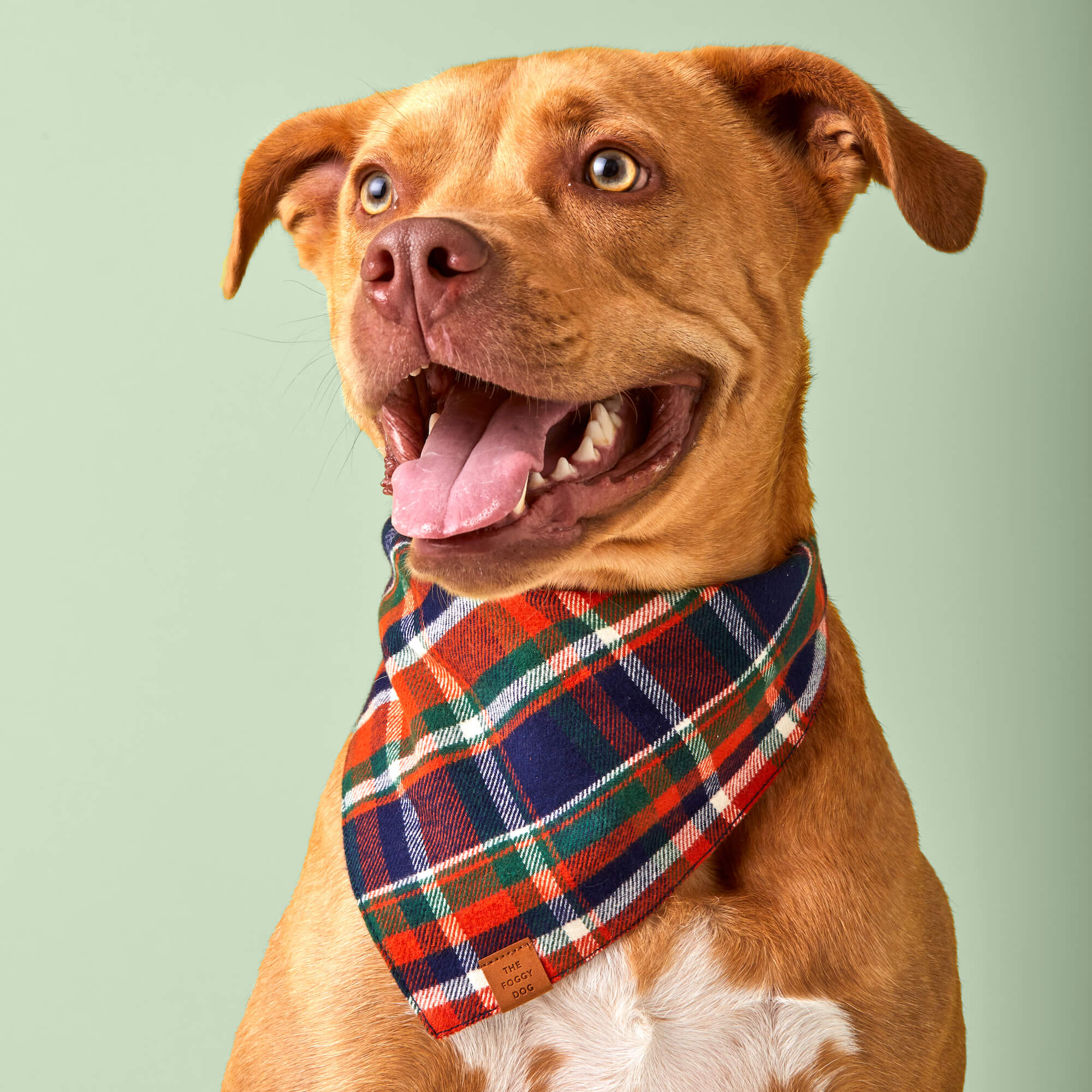 Dakota Plaid Flannel Dog Bandana