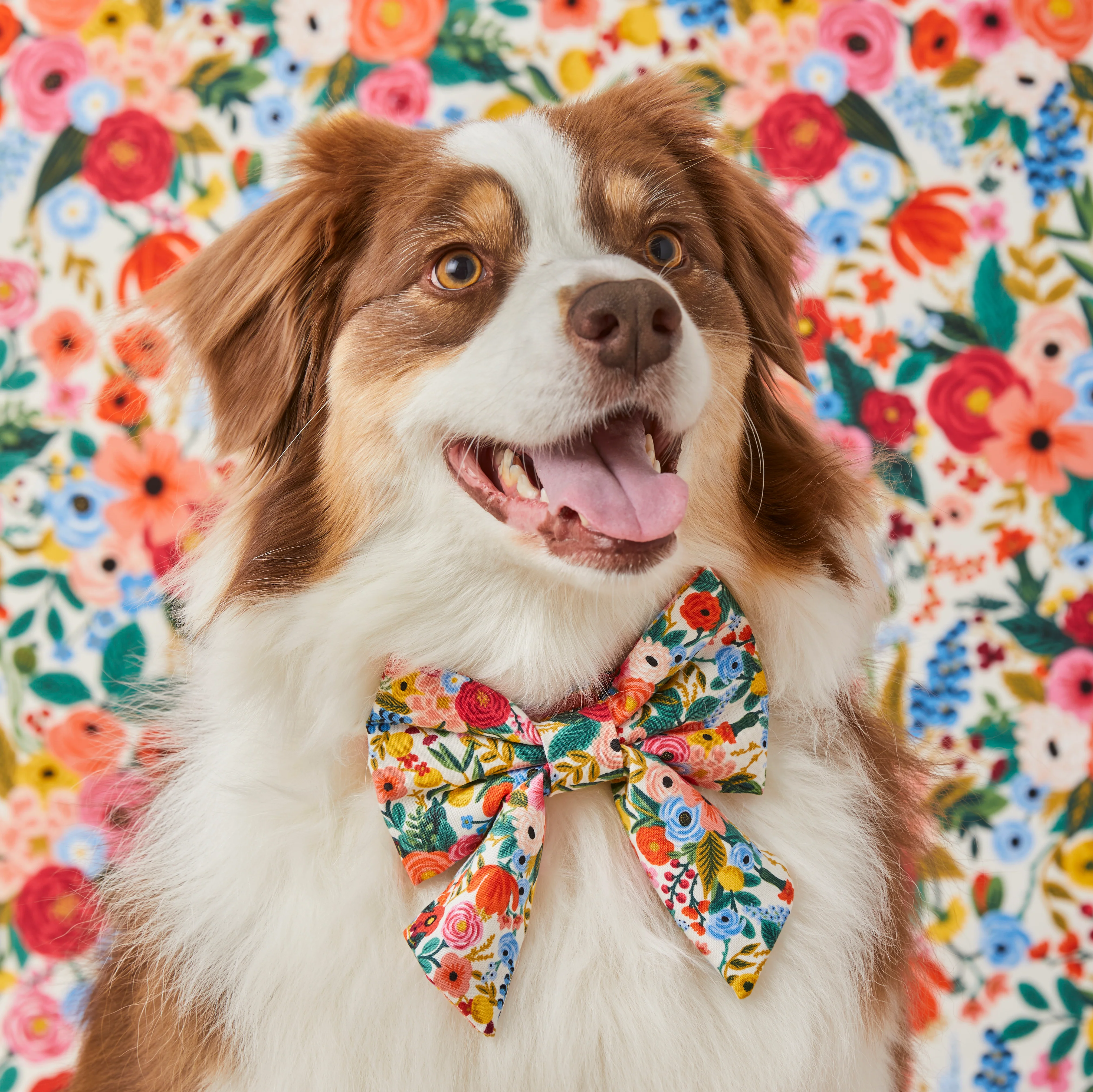 Rifle Paper Co. x TFD Garden Party Lady Bow Collar