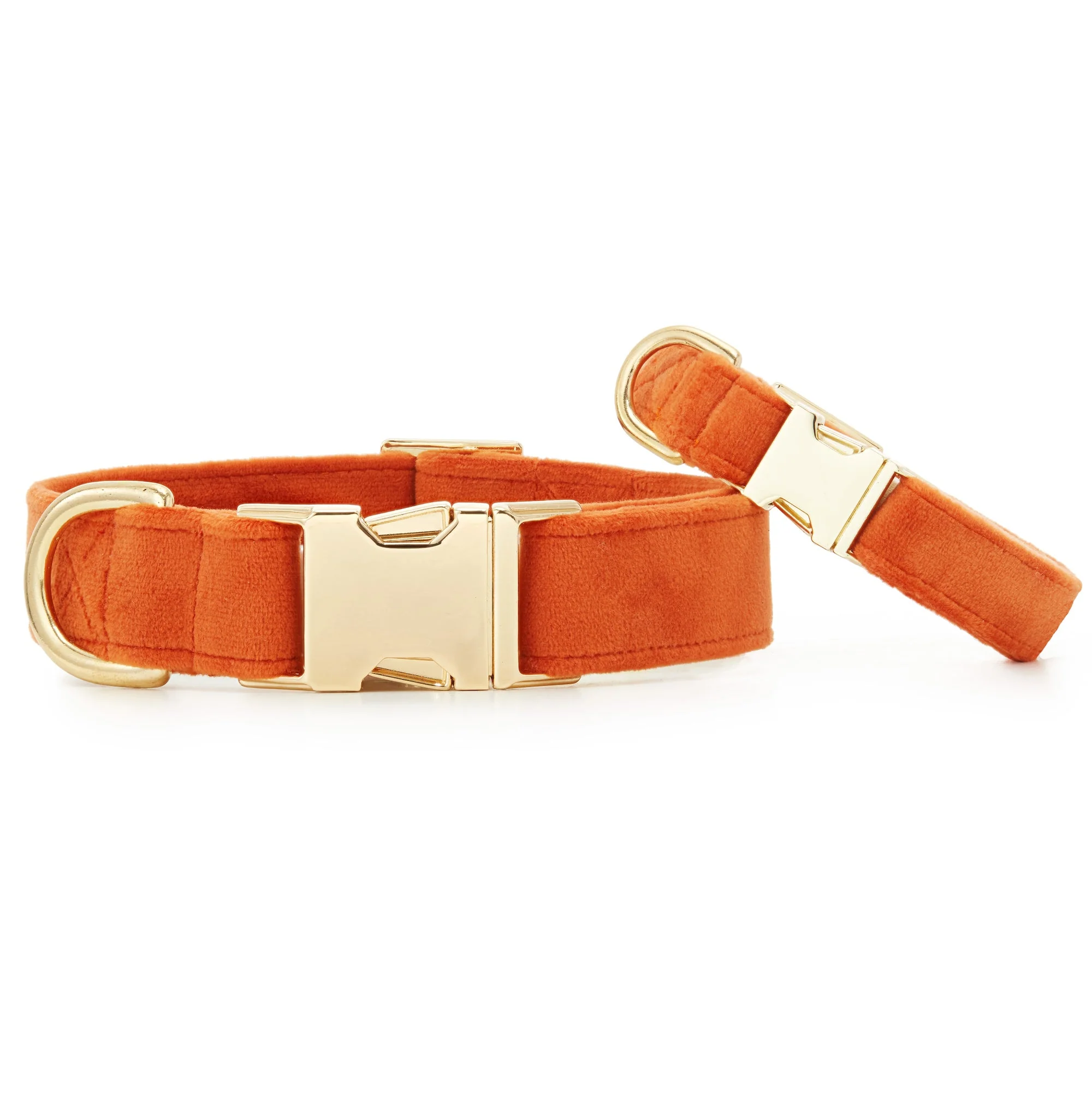 Pumpkin Velvet Dog Collar