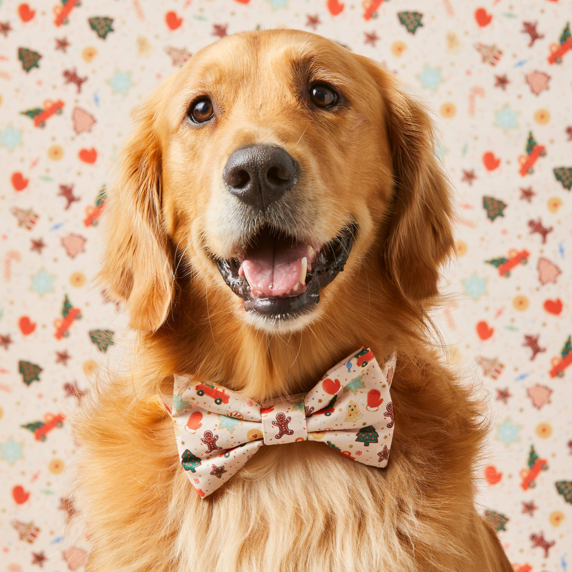 Rifle Paper Co. x TFD Holiday Cookies Dog Bow Tie