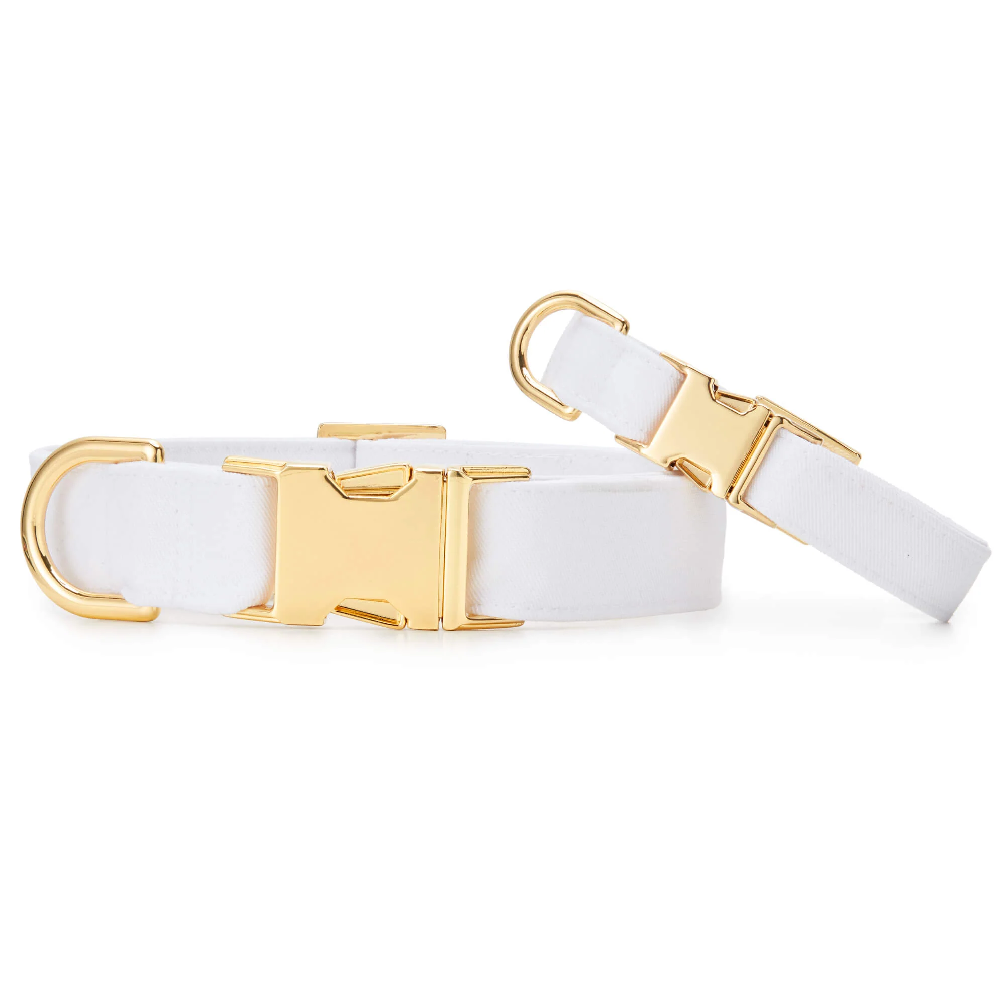 White Dog Collar
