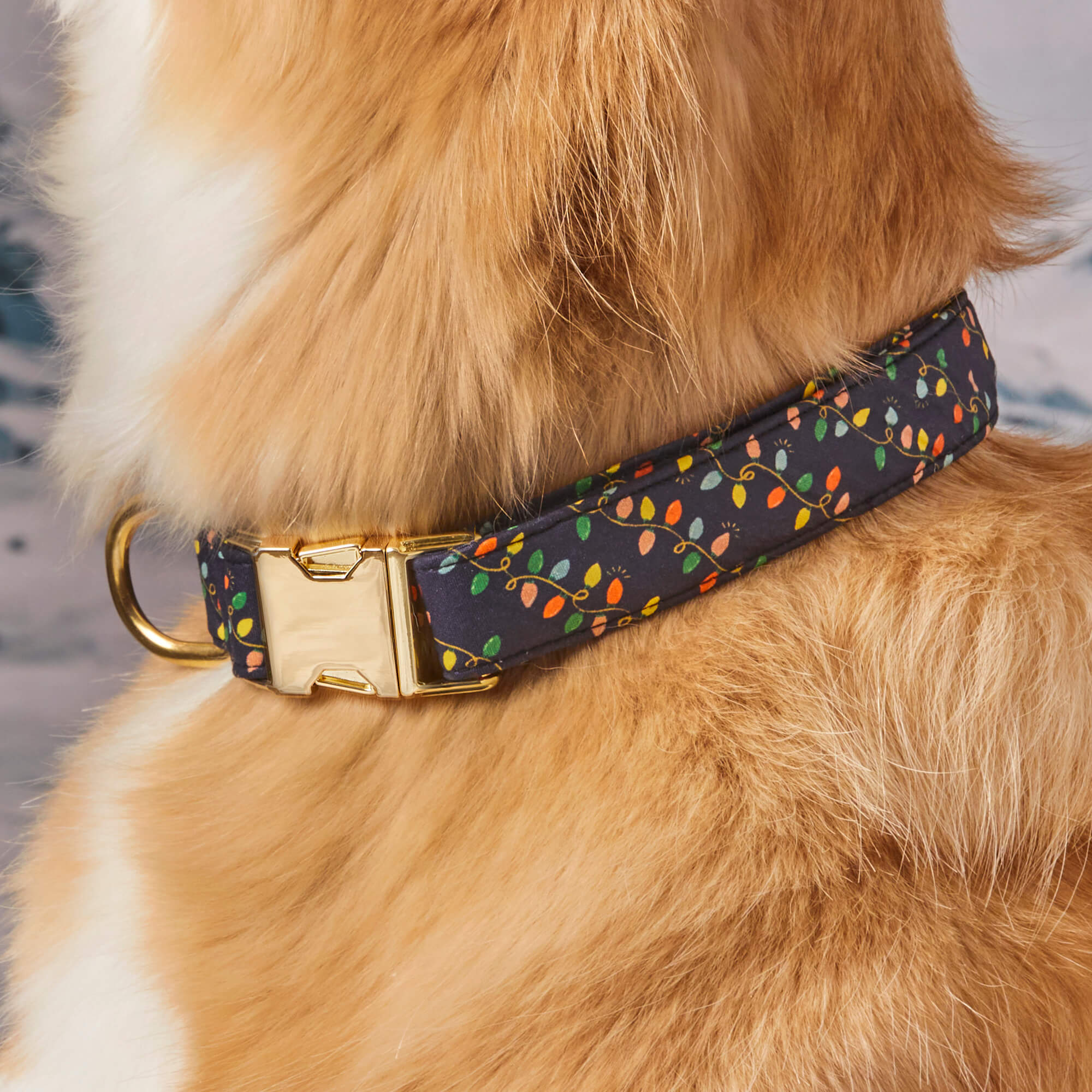 Rifle Paper Co. x TFD Holiday Lights Dog Collar