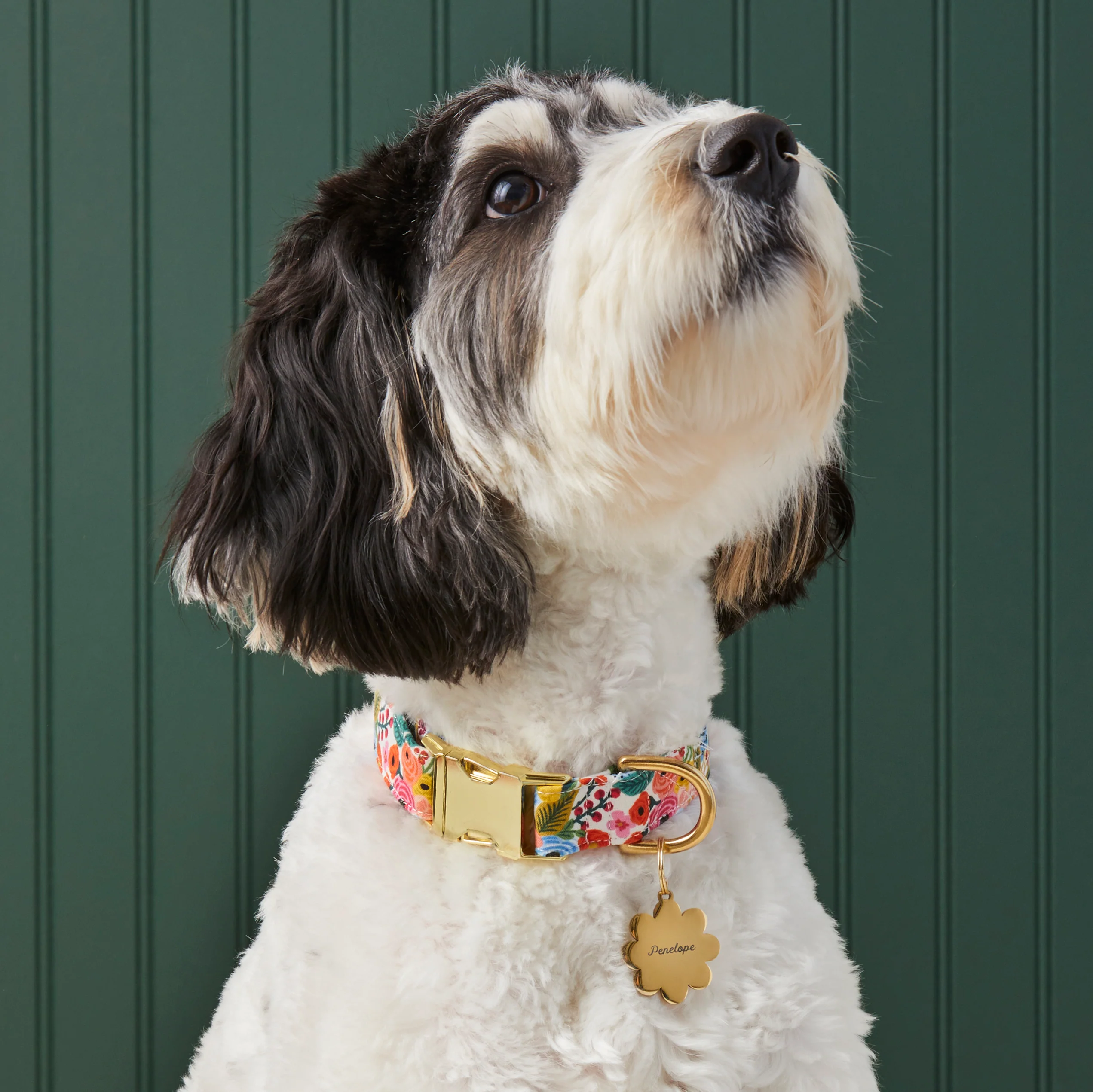 Rifle Paper Co. x TFD Garden Party Dog Collar