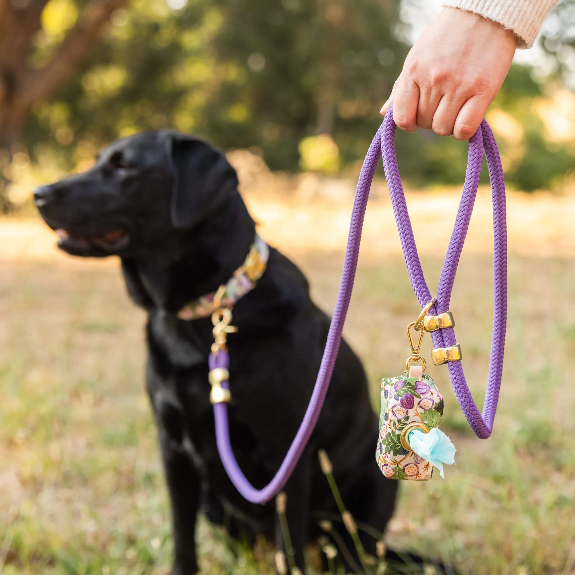 Violet Marine Rope Dog Leash